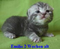 Emilio2W