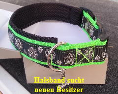 Halsband grÃ‚Â�n-schwarz-Silberpfâ€�tchen2