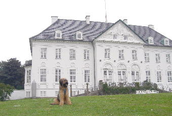 Marselisborg Slot Alfi 4